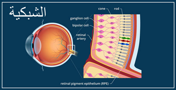 جراحة الشبكية في الهند